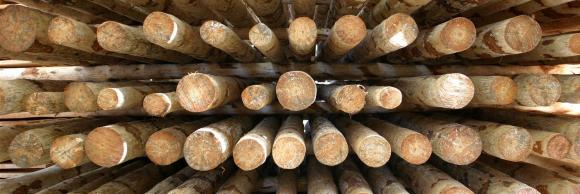 Rundhölzer